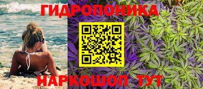 сатива Кунгур