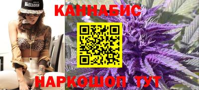 сатива Кунгур