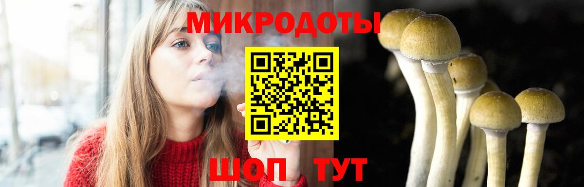 Гатчина  Галлюциногенные грибы MAGIC MUSHROOMS  Вход с VPN 