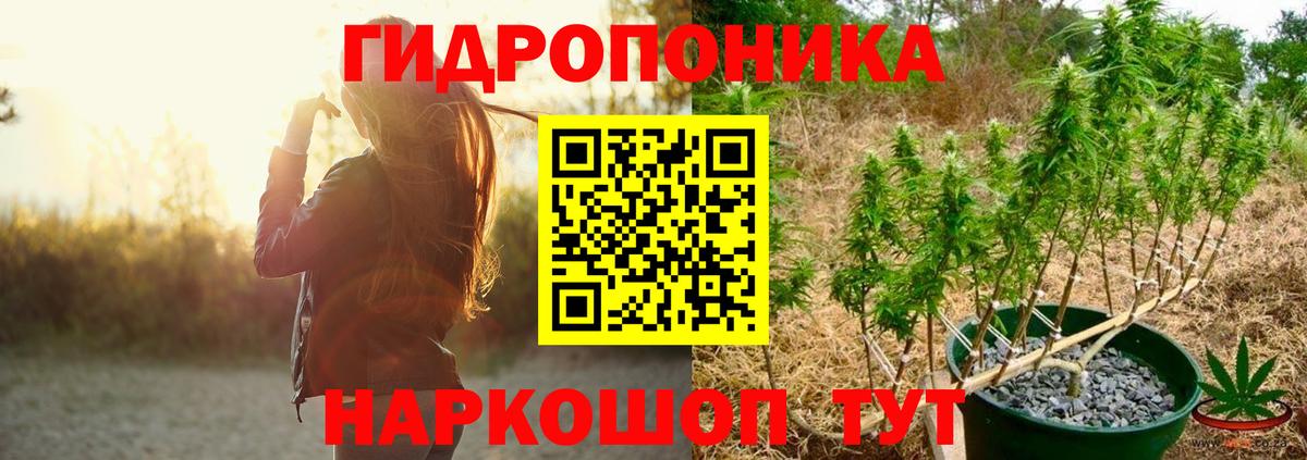 Конопля семена  МАРИХУАНА ГИДРОПОН  Каннабис марихуана  Конопля SATIVA & INDICA  Гатчина  Вход с VPN 